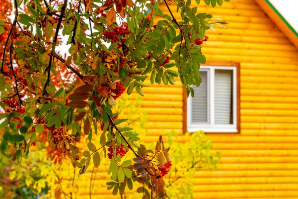 Garden Window Replacement in Grand Prairie